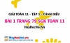 Giải bài 1 trang 79 Toán 11 tập 1 SGK Cánh Diều